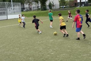 IMG_6163 IMG_6163